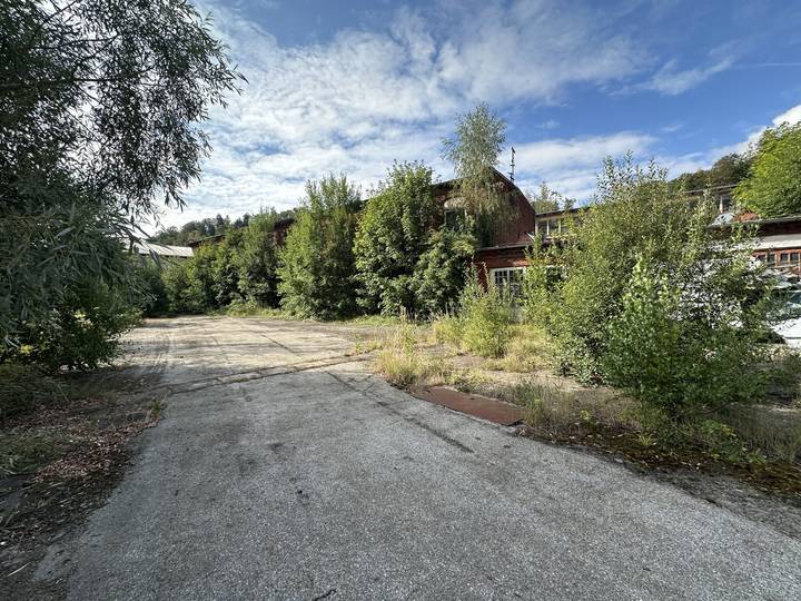 Overgrown asphalt approach to a disused industrial site